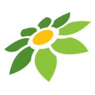 VN MOD APK